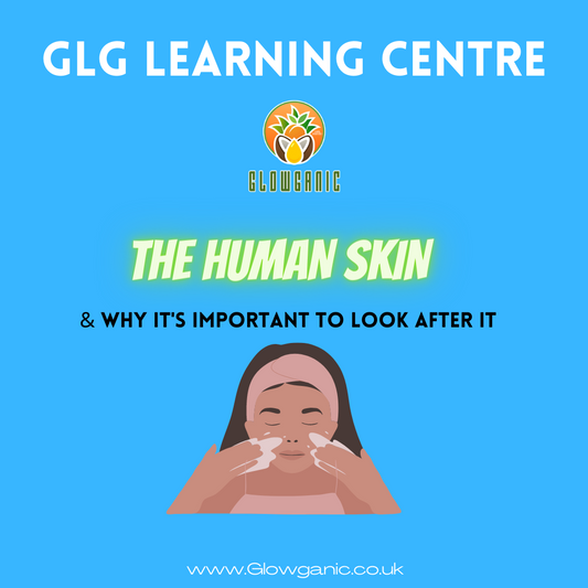 Facts about the Human Skin